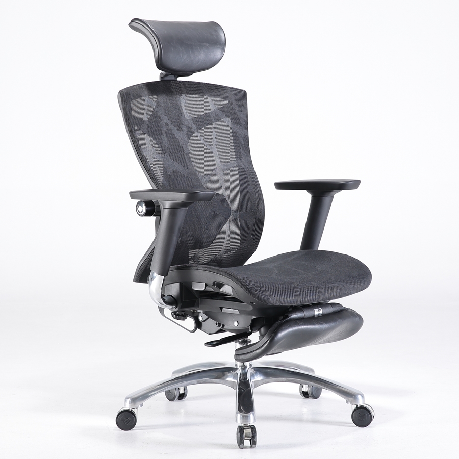 Ghế Sihoo Professional V1